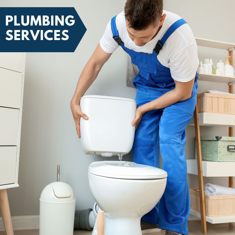 Plumbing Company in Monteview, ID